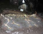 mammoth cave picture 